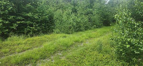 446 Acres of Land for Sale in Otis, Maine