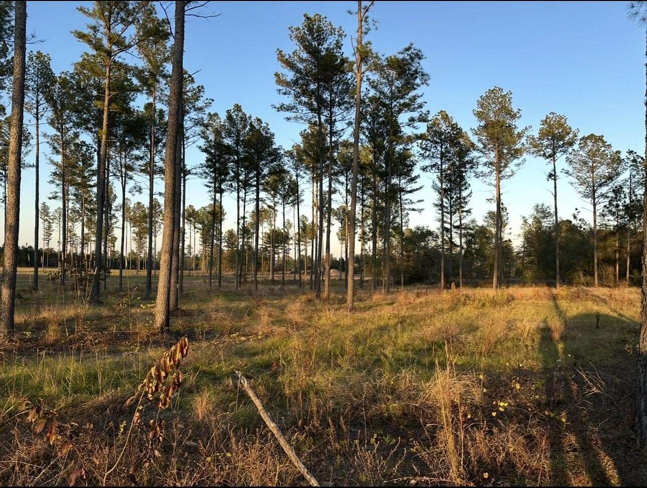 13.7 Acres of Agricultural Land for Sale in Aiken, South Carolina
