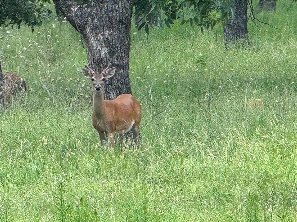 3 Acres of Residential Land for Sale in Granbury, Texas