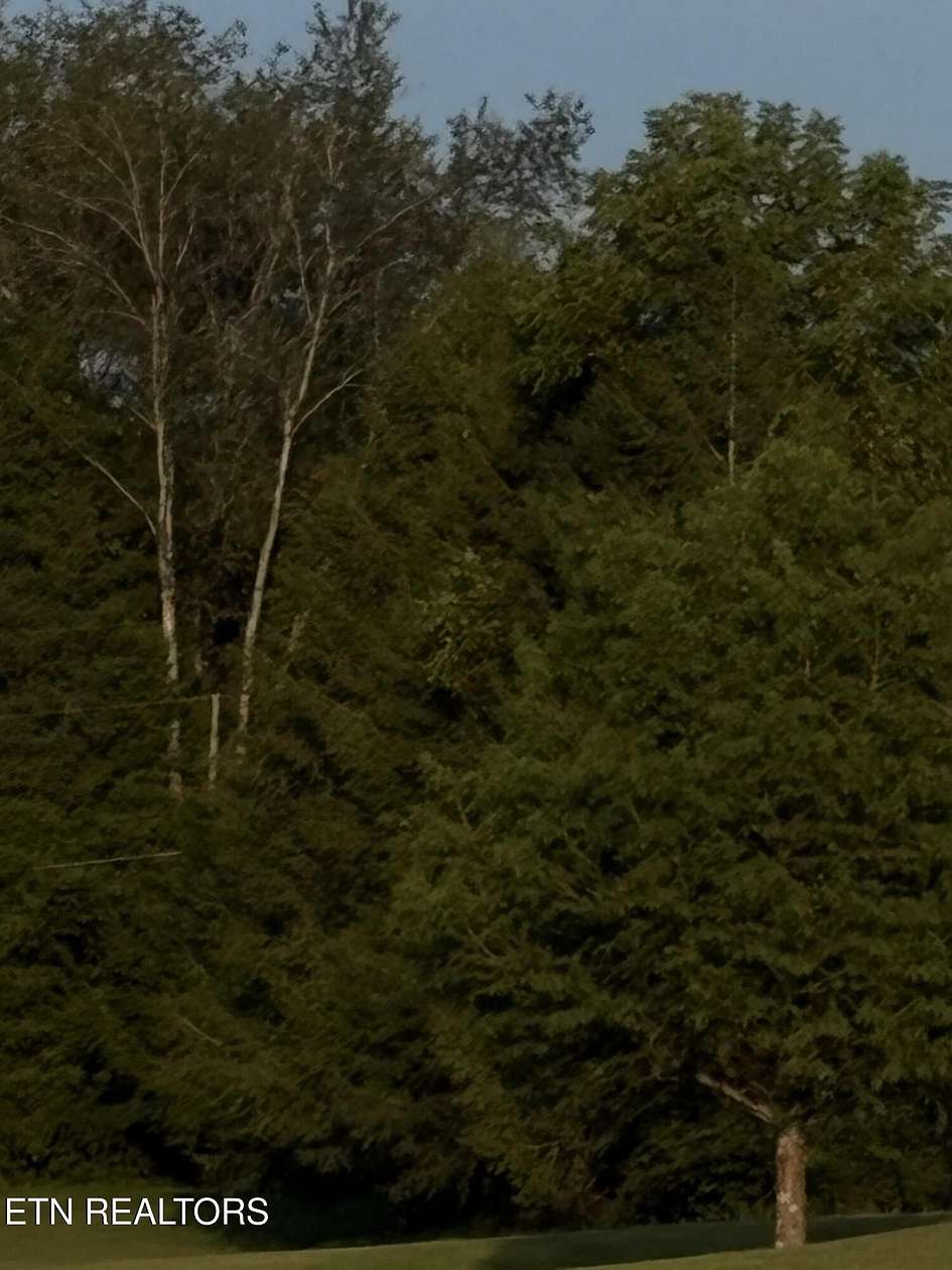 308 Acres of Land for Sale in Rogersville, Tennessee