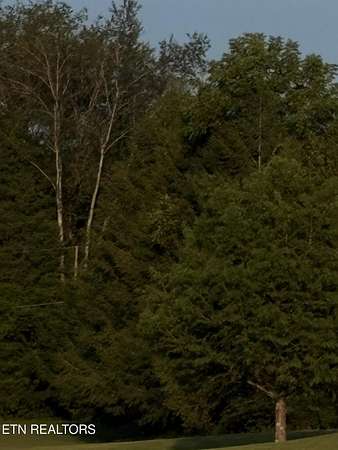 308 Acres of Land for Sale in Rogersville, Tennessee