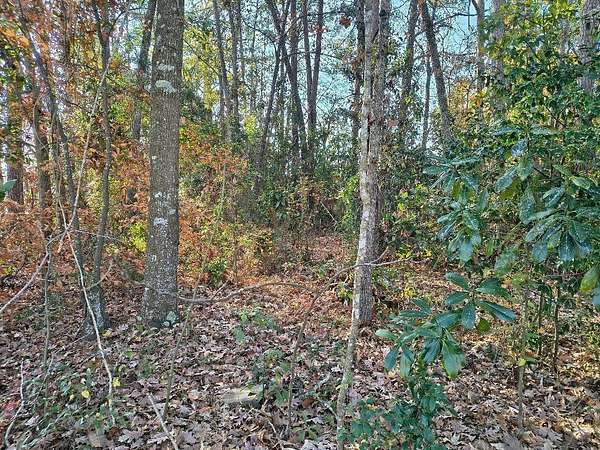 0.44 Acres of Residential Land for Sale in Summerville, South Carolina