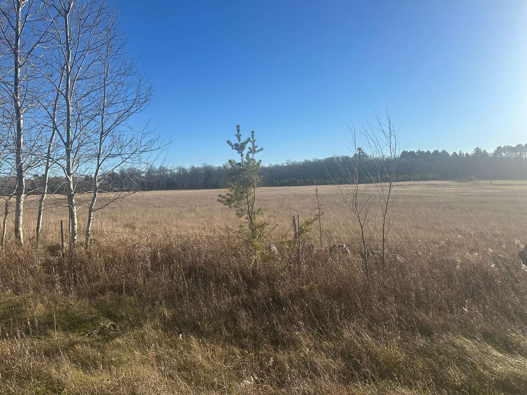 10 Acres of Land for Sale in Florence, Wisconsin