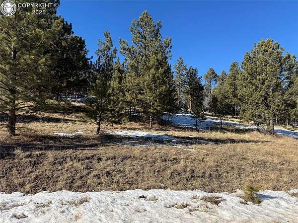 1.3 Acres of Residential Land for Sale in Florissant, Colorado