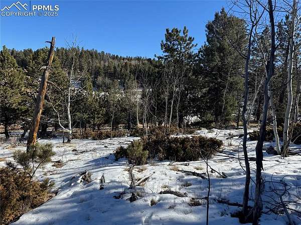 1.3 Acres of Residential Land for Sale in Florissant, Colorado