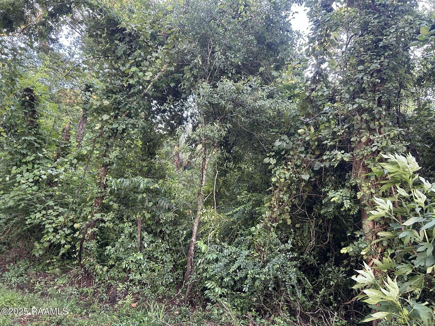 18.5 Acres of Land for Sale in Ville Platte, Louisiana