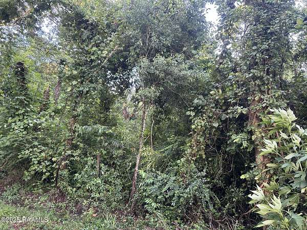 18.5 Acres of Land for Sale in Ville Platte, Louisiana