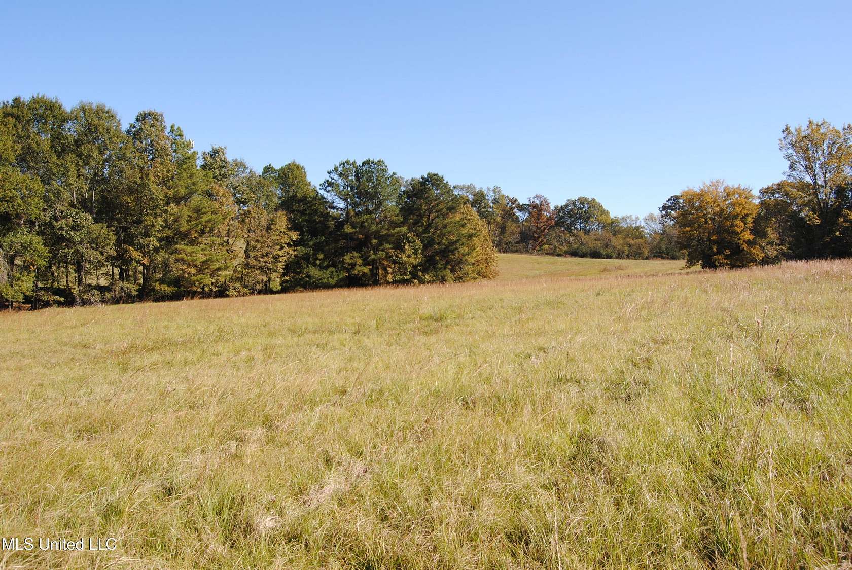 5 Acres of Residential Land for Sale in Flora, Mississippi
