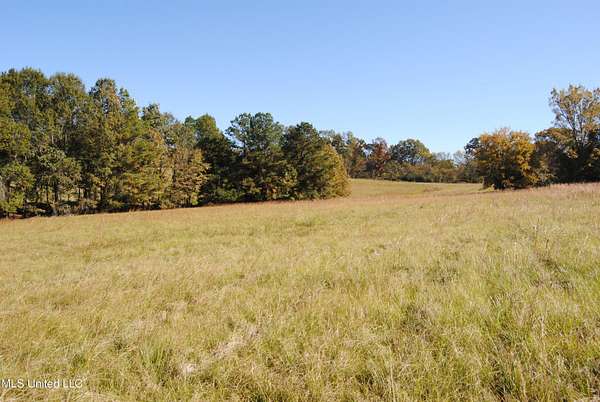 5 Acres of Residential Land for Sale in Flora, Mississippi