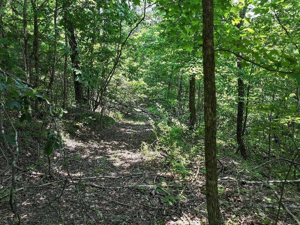 55.3 Acres of Recreational Land for Sale in Celina, Tennessee