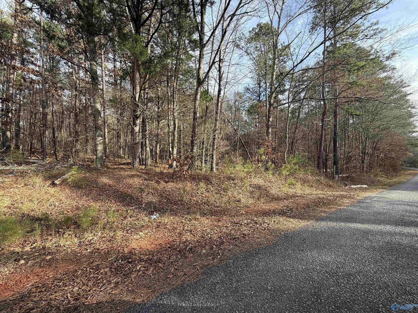2.5 Acres of Residential Land for Sale in Centre, Alabama