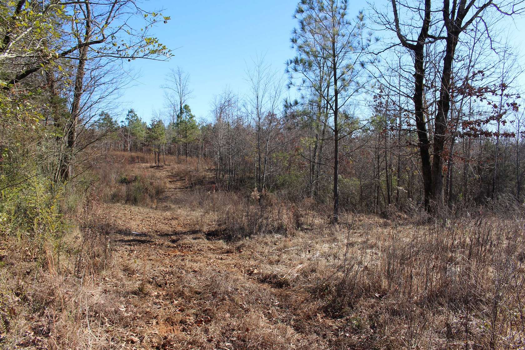 21.7 Acres of Land for Auction in Savannah, Tennessee