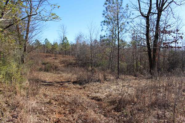 21.7 Acres of Land for Auction in Savannah, Tennessee