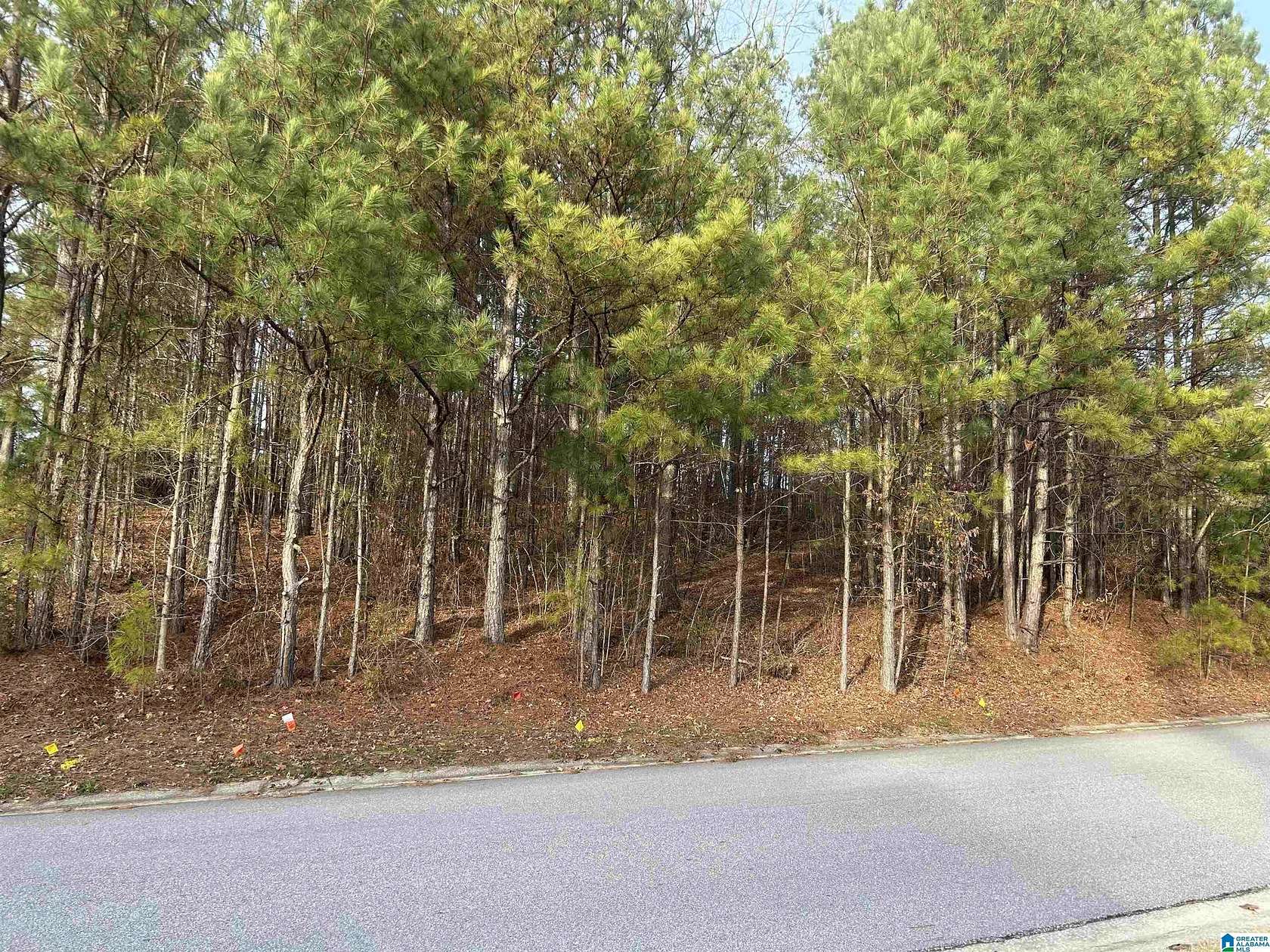 0.41 Acres of Residential Land for Sale in Chelsea, Alabama