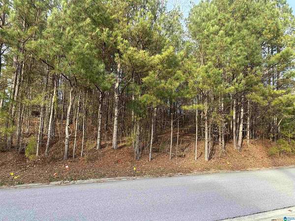 0.41 Acres of Residential Land for Sale in Chelsea, Alabama