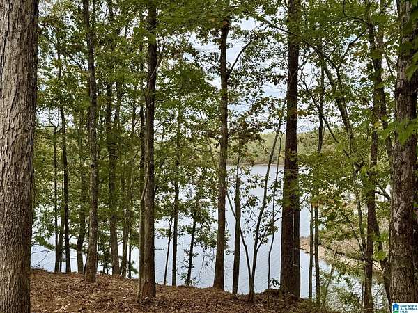 1.29 Acres of Residential Land for Sale in Wedowee, Alabama