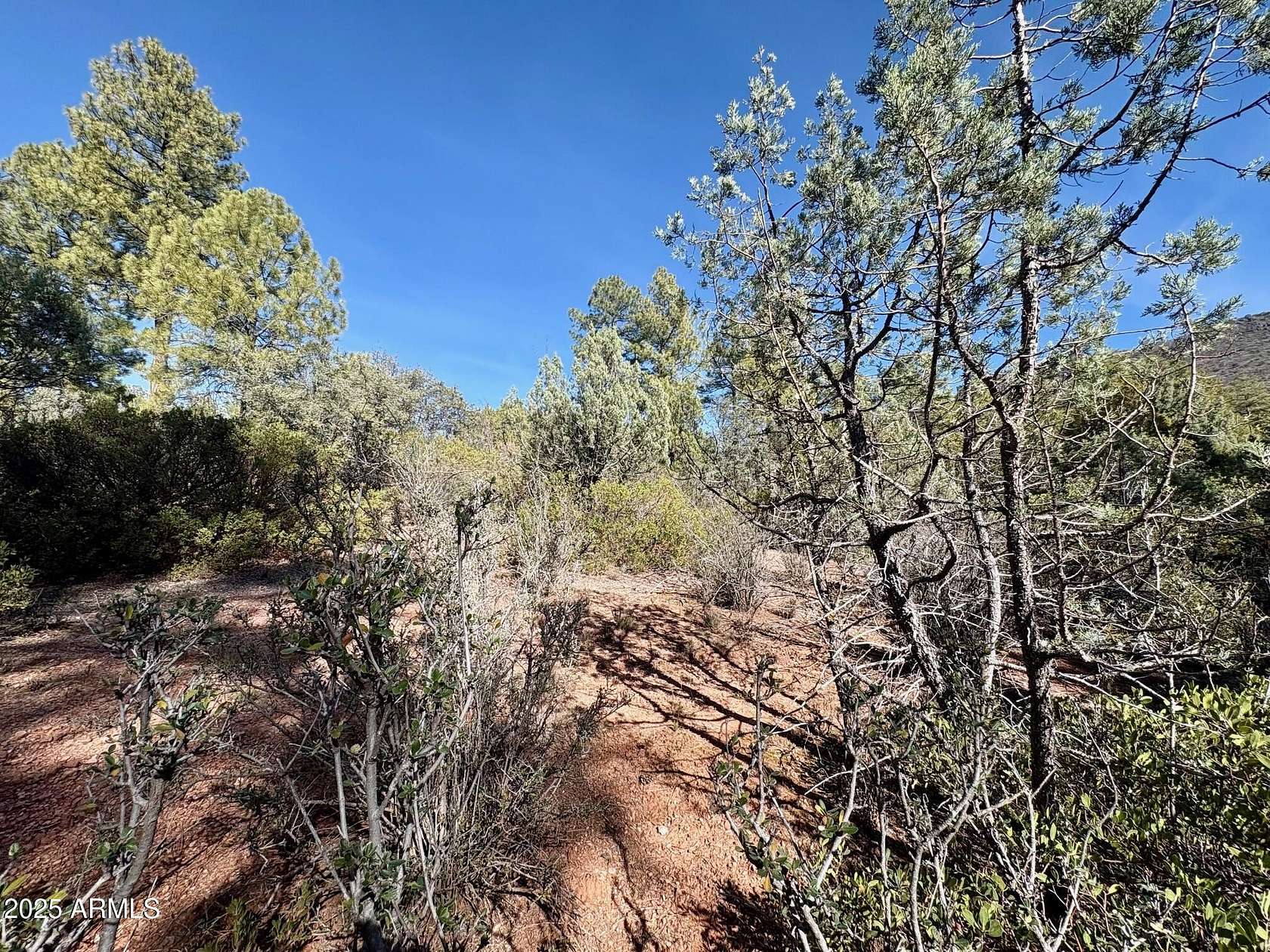 0.35 Acres of Residential Land for Sale in Pine, Arizona