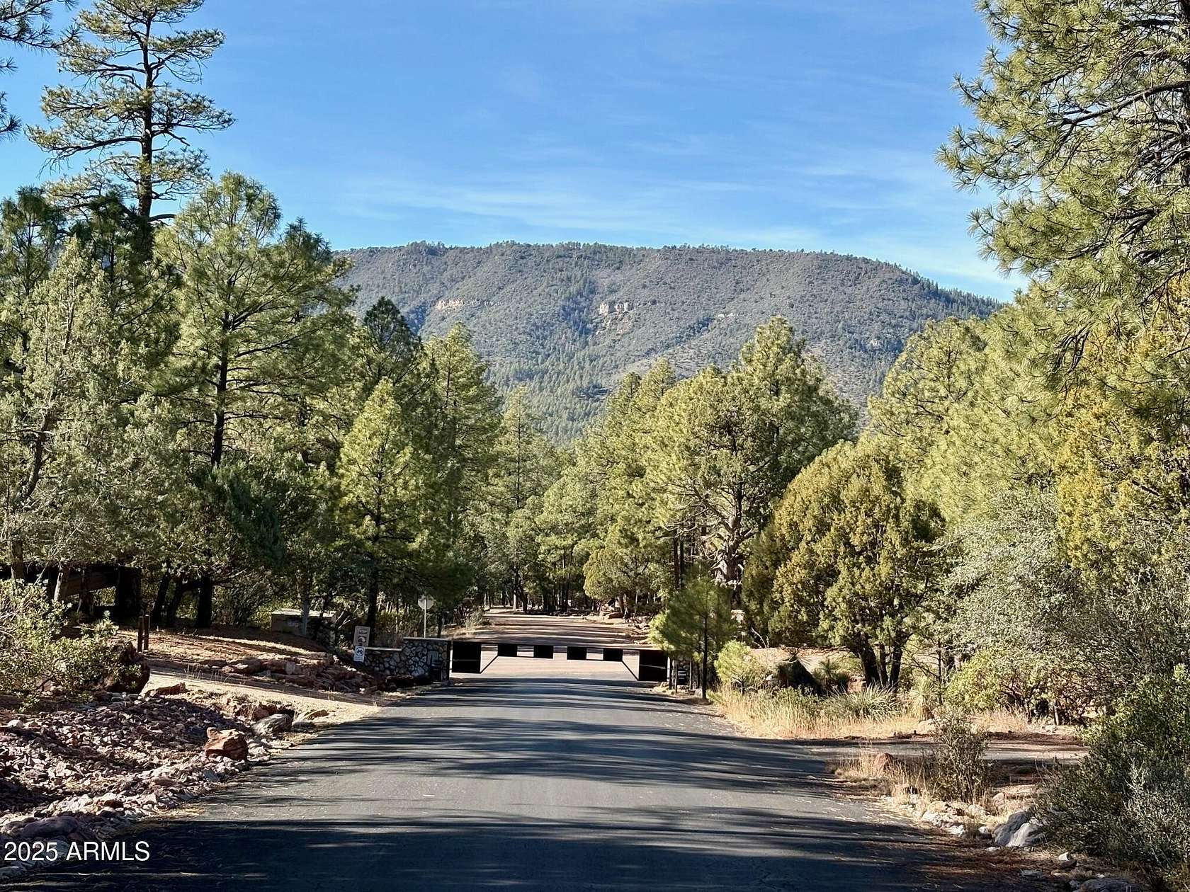 0.35 Acres of Residential Land for Sale in Pine, Arizona
