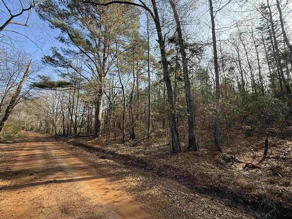 11 Acres of Recreational Land for Sale in Marietta, Texas