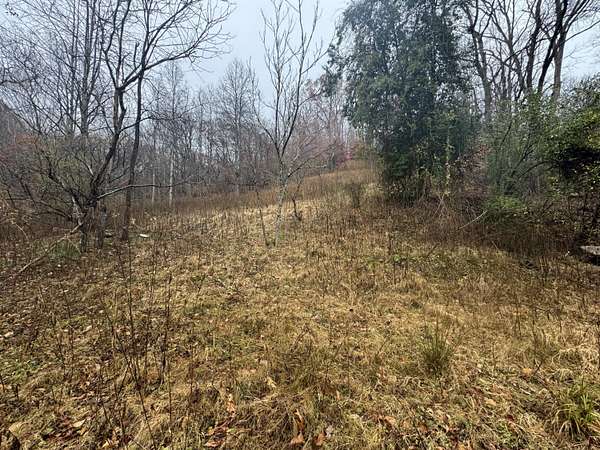 4 Acres of Land for Sale in Charleston, West Virginia