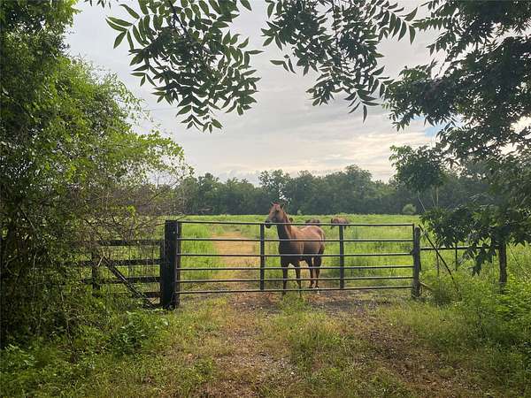 17.3 Acres of Mixed-Use Land for Sale in Sienna Plantation, Texas