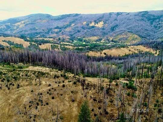 20 Acres of Recreational & Residential Land for Sale in Ruth, California