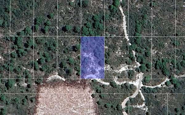 0.26 Acres of Residential Land for Sale in Sebring, Florida