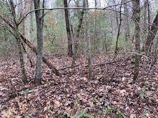 1.44 Acres of Residential Land for Sale in Ellijay, Georgia