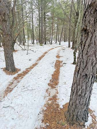 5 Acres of Residential Land for Sale in Muskegon, Michigan