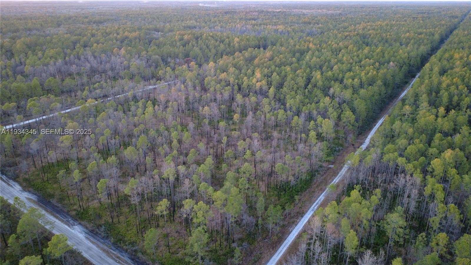 1.25 Acres of Residential Land for Sale in Hastings, Florida