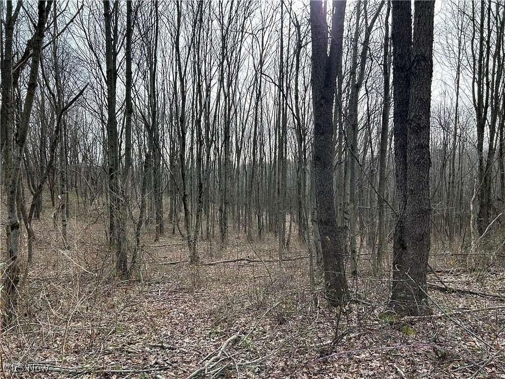 6 Acres of Residential Land for Sale in Carrollton, Ohio