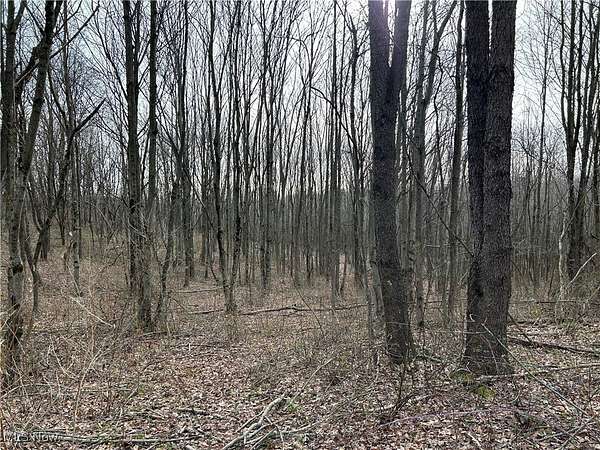 6 Acres of Residential Land for Sale in Carrollton, Ohio