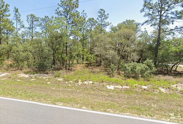 1 Acre of Residential Land for Sale in Dunnellon, Florida