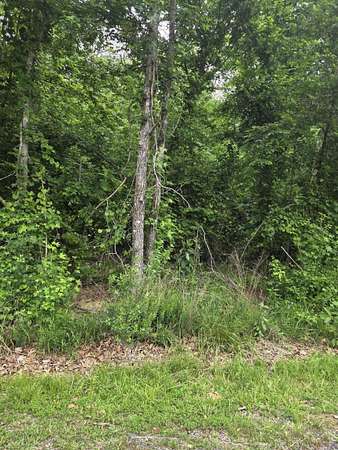 0.6 Acres of Residential Land for Sale in Hot Springs, Arkansas