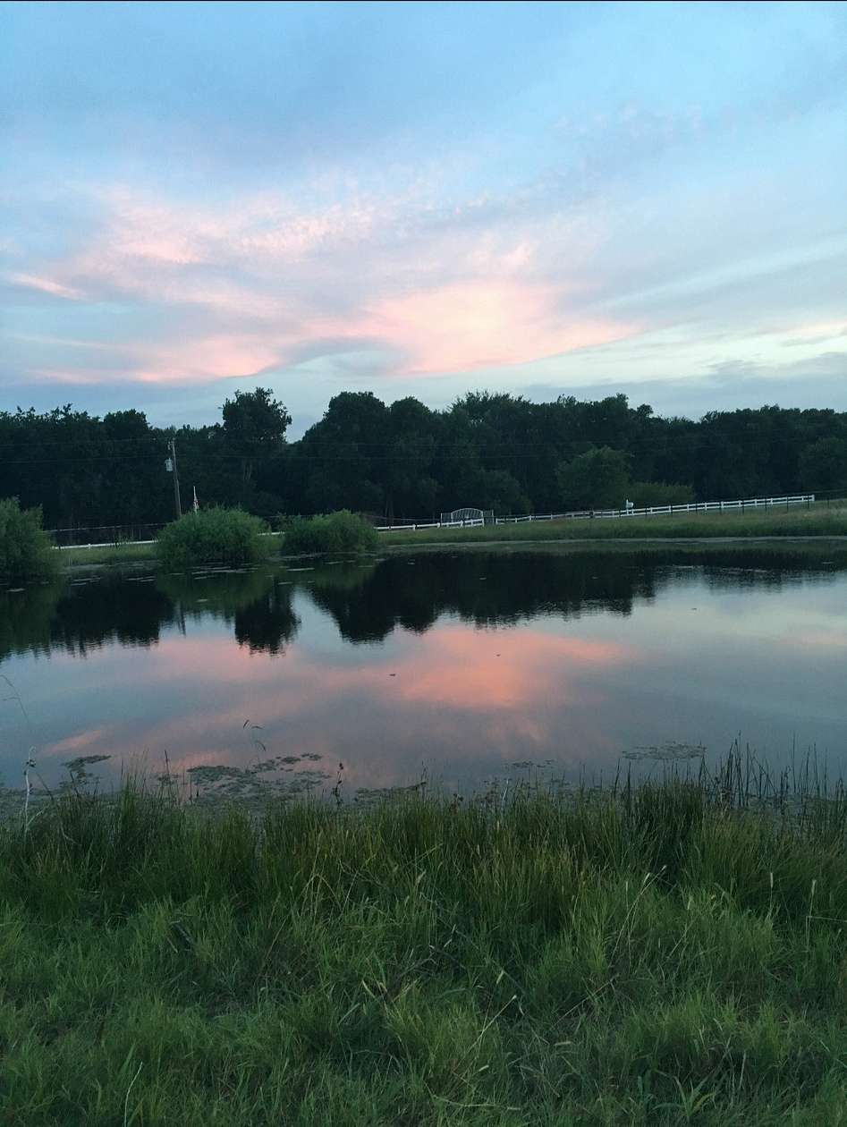 10 Acres of Agricultural Land for Sale in Anna, Texas
