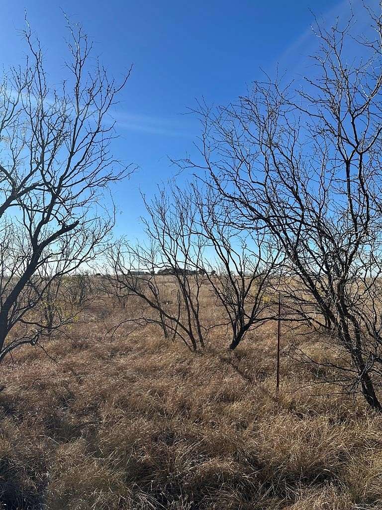 5 Acres of Residential Land for Sale in Snyder, Texas