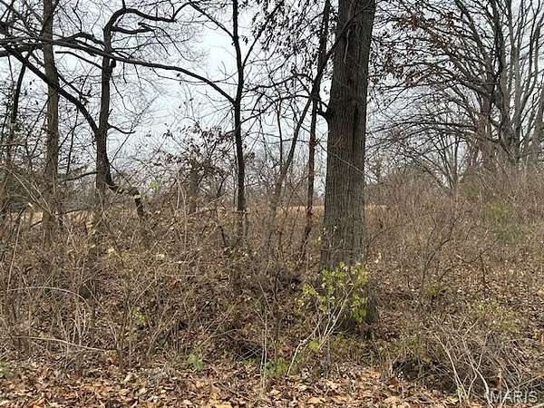 108 Acres of Recreational Land & Farm for Sale in Foley, Missouri