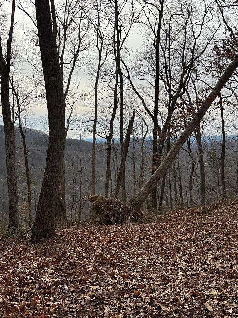 3.52 Acres of Land for Sale in Talking Rock, Georgia