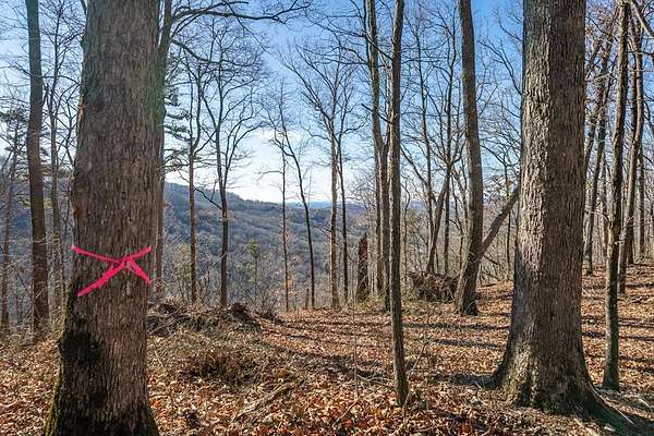 3.52 Acres of Land for Sale in Talking Rock, Georgia