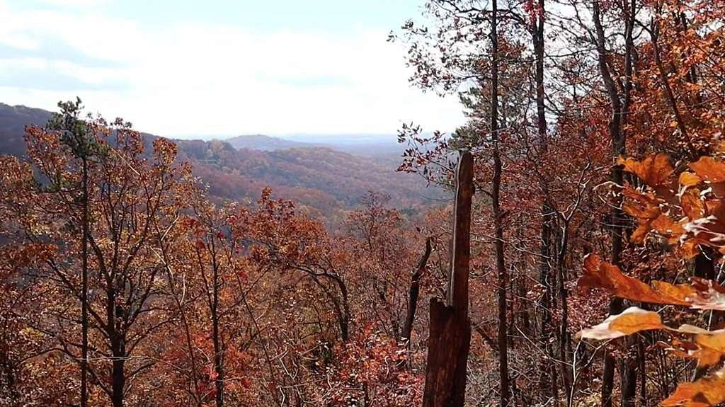 2.39 Acres of Land for Sale in Talking Rock, Georgia