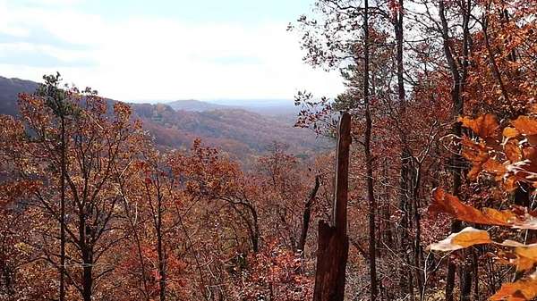 2.39 Acres of Land for Sale in Talking Rock, Georgia