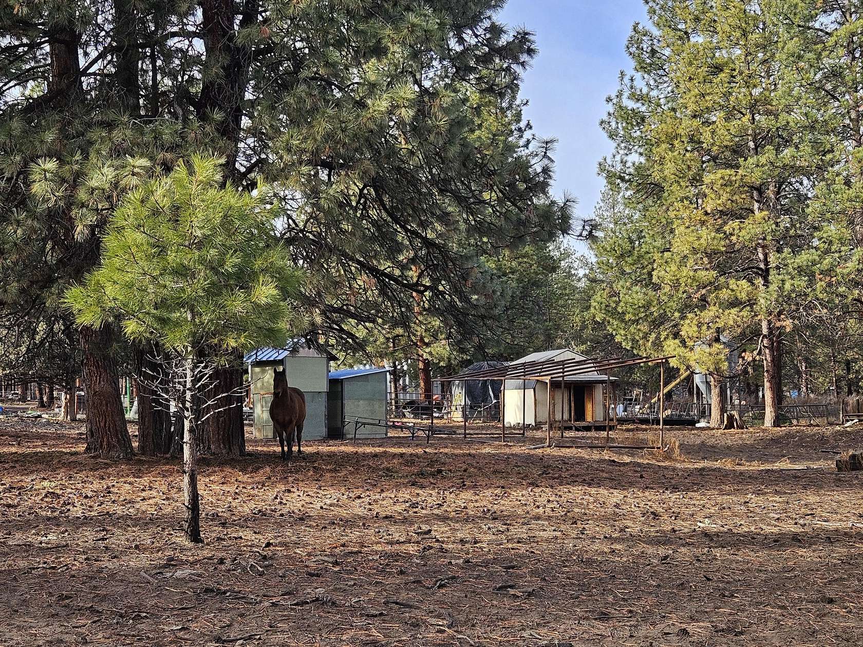 3.84 Acres of Residential Land for Sale in Bonanza, Oregon