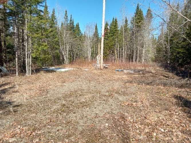 18.8 Acres of Land for Sale in Danforth, Maine
