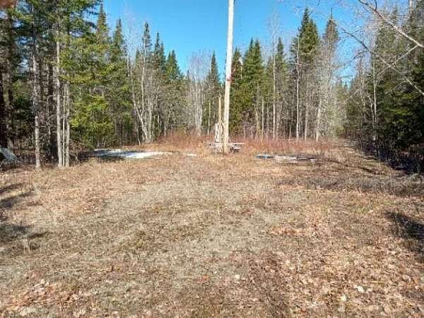 18.8 Acres of Land for Sale in Danforth, Maine