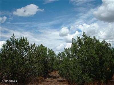 1.84 Acres of Land for Sale in Williams, Arizona