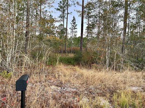 14.2 Acres of Land for Sale in Waycross, Georgia