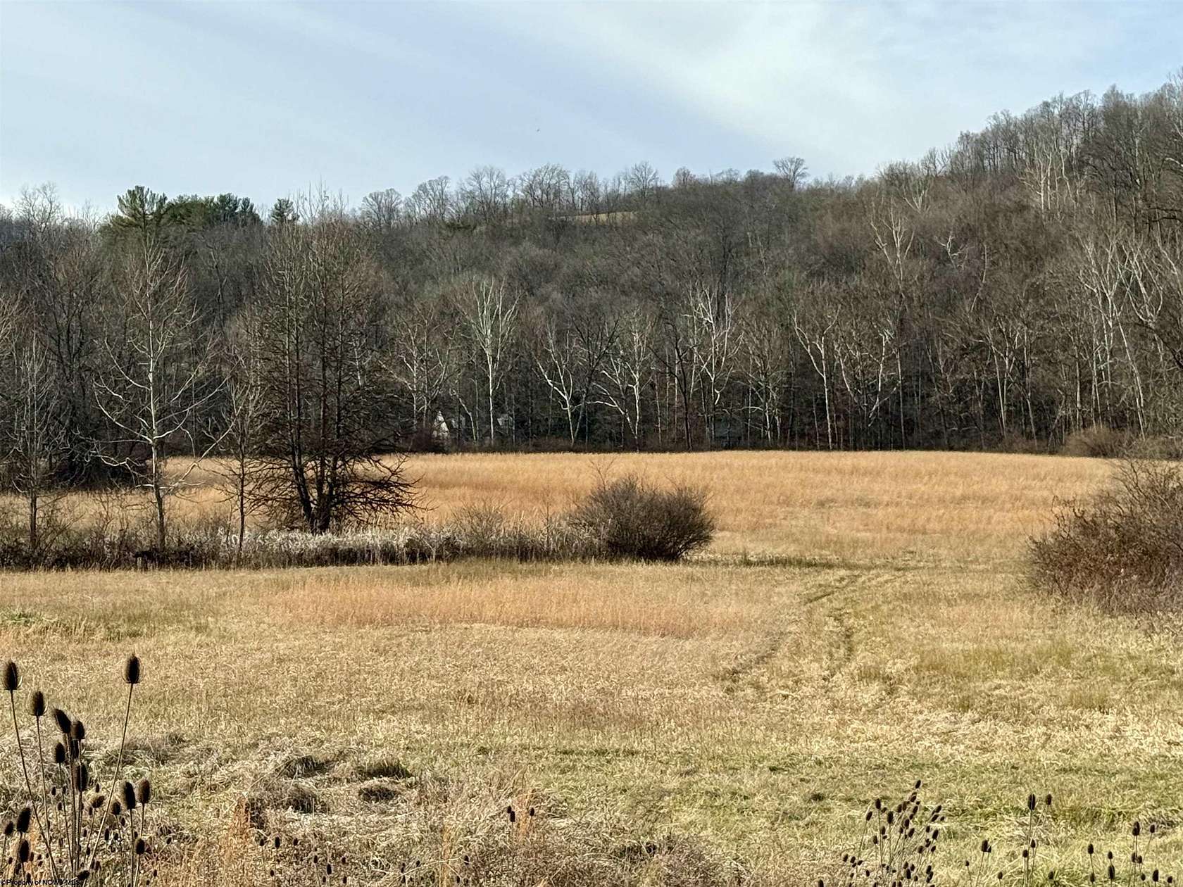 24.6 Acres of Land for Sale in Fairmont, West Virginia