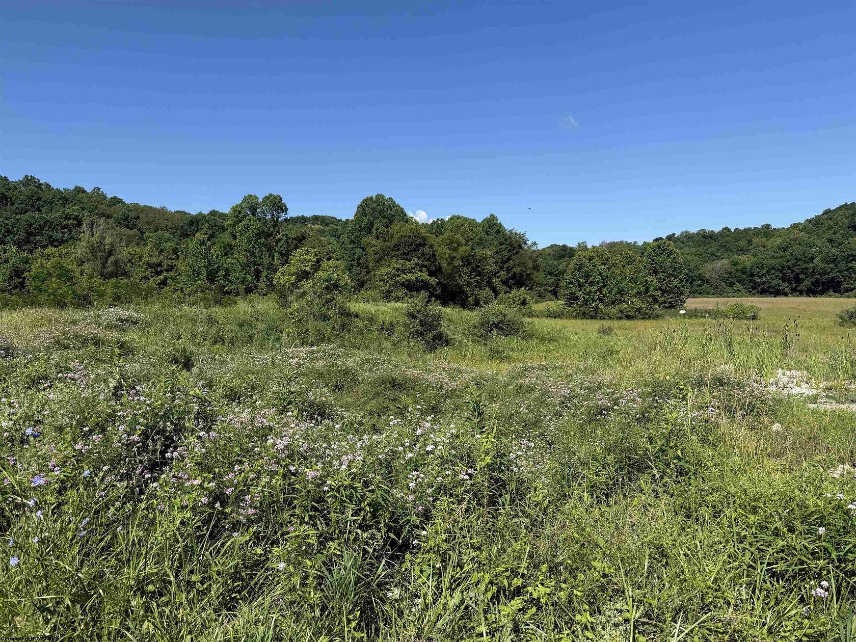 24.6 Acres of Land for Sale in Fairmont, West Virginia