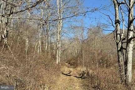 34.5 Acres of Recreational Land for Sale in Green Sulphur Springs, West Virginia
