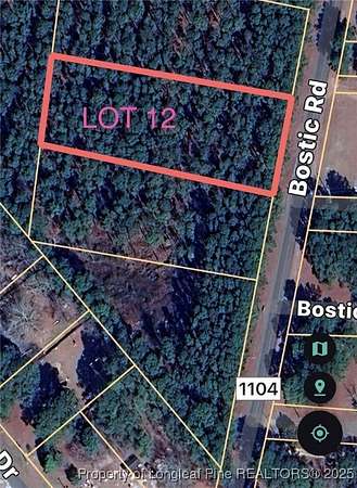 1 Acre of Residential Land for Sale in Laurinburg, North Carolina